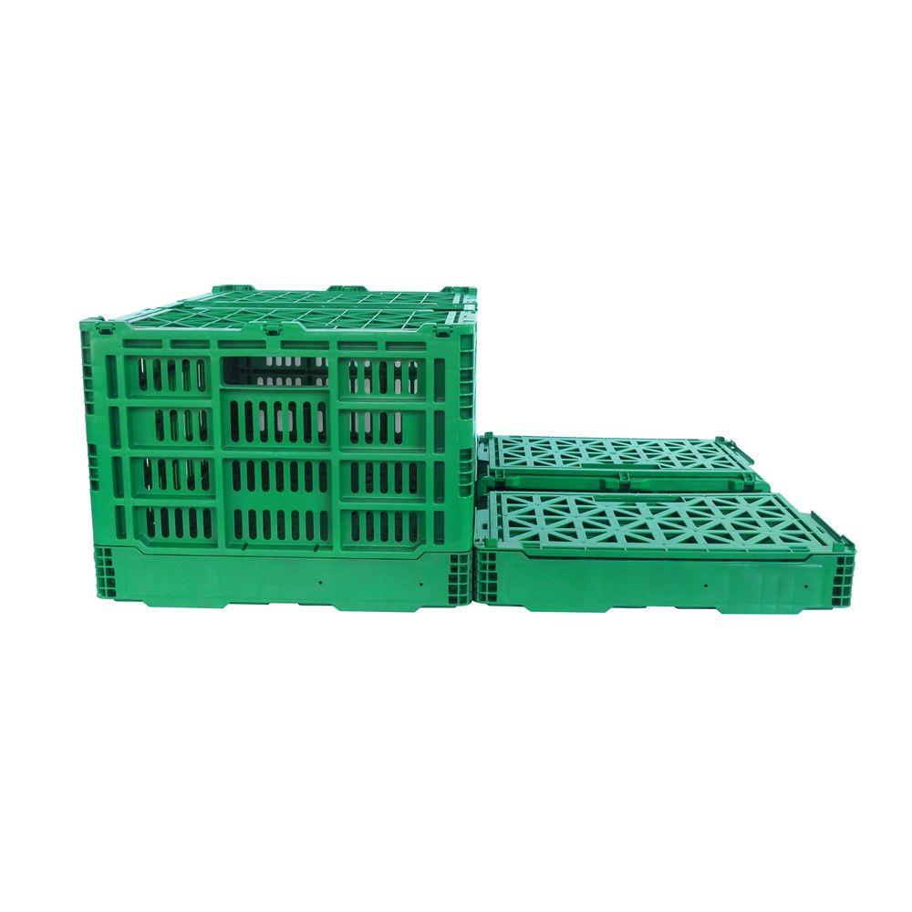 collapsible crates storage